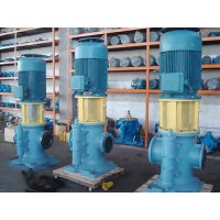 湖北双螺杆泵加工厂家|东森工业泵厂家供应|接受订制