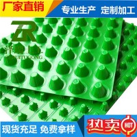郑州2公分塑料疏水板/3公分排水板