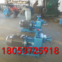 ZN65-65-4-（A）自吸式倒浆泵专业厂家销 自吸泥浆泵