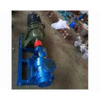广西高粘度泵加工厂家_世奇公司_定制NYP内环式转子泵