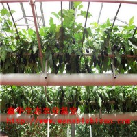 山东供应 无土栽培设备 pvc无土种植槽 草莓立体种植架