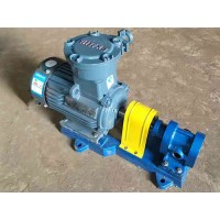 河北齿轮泵生产企业-海鸿泵阀-厂家订制2CY型齿轮泵