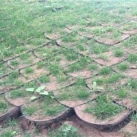 植草固土护坡蜂巢土工格室|坡面种植绿化边坡防护土工格室供应商