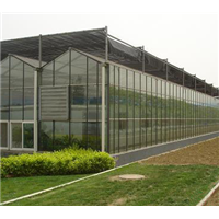 玻璃温室结构 厂家供应玻璃温室大棚