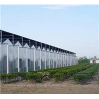 青州PC阳光板温室 连栋薄膜温室大棚工程