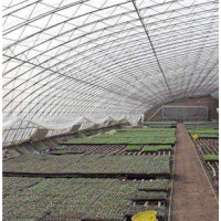 厂家定制日光温室 连体智能蔬菜温室