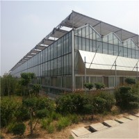 温室生态餐厅设计   玻璃温室大棚图片  欢迎致电