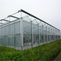 出售文洛型玻璃温室   搭建大棚生态餐厅