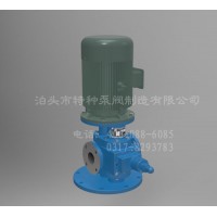 辽宁齿轮泵定制生产/泊头特种泵厂家零售立式圆弧齿轮泵