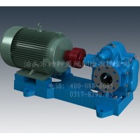 福建齿轮油泵订制生产~泊特泵厂家直营KCB齿轮泵