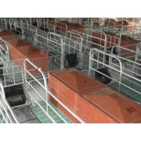 新疆母猪产床「旺农畜牧设备」猪用产床求购
