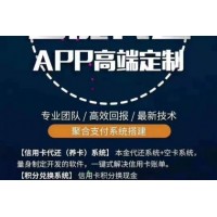 北京智能代还软件APP开发服务公司