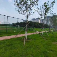 渭南市浸塑围栏网 球场围网 足球场隔离网