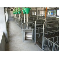 陕西猪自动喂料系统制造厂家-万晟畜牧订制猪用自动料线设备