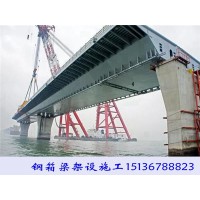 江苏徐州钢箱梁架设厂家施工龙元素景观桥