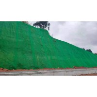 杭州园林护坡固土用三维植被网 规格齐全可寄样板